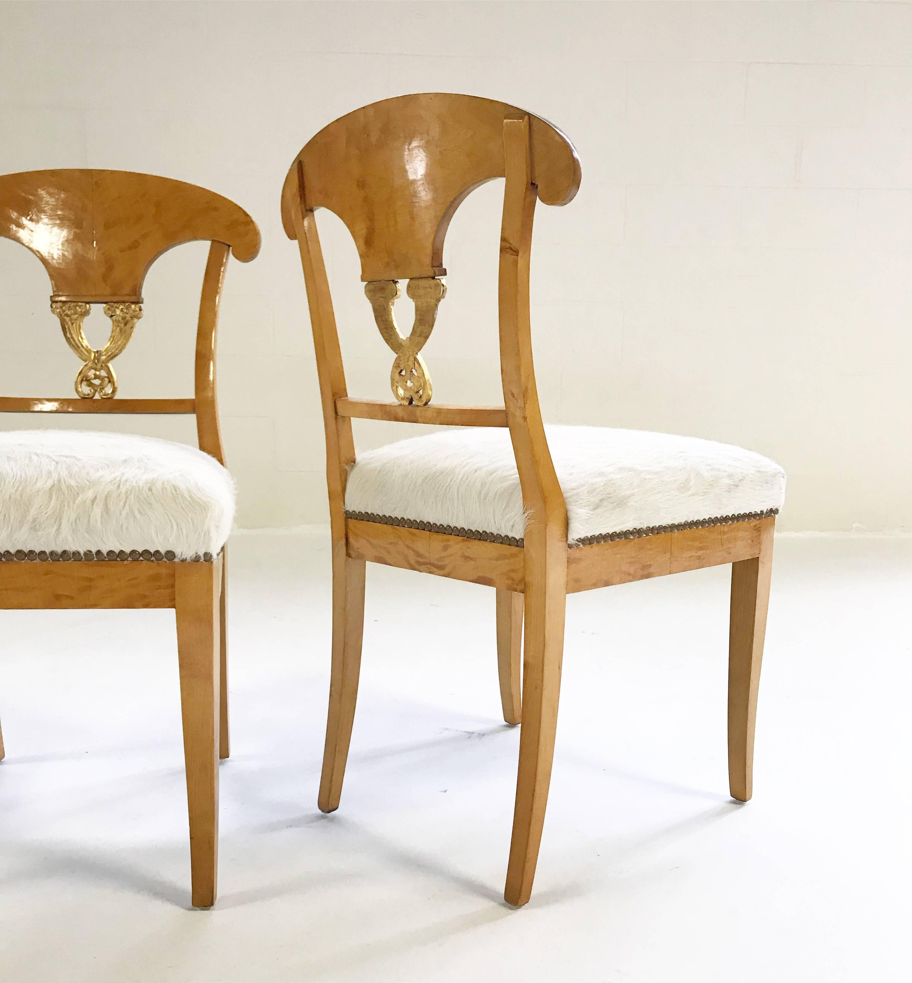 Early 19th Century Pair of Satin Birch Biedermeier Chairs in Ivory Brazilian Cowhide, circa 1820