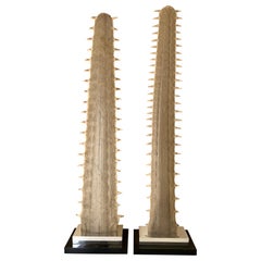 Pair of Sawfish Bill Rostrums