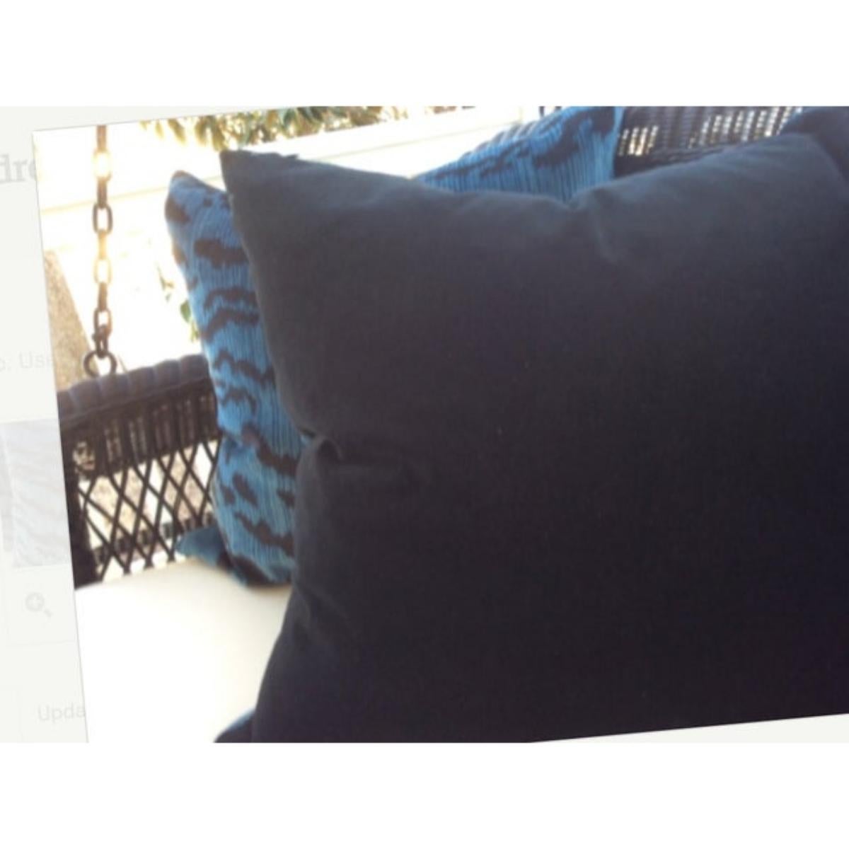 Coppia di cuscini Scalamandre 