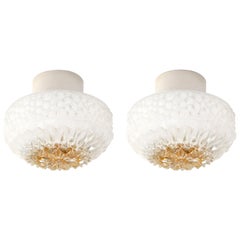 Pair of Scandinavian Flushmount Ceiling Lamps, 1950s Pair of Scandinavian Flushmount Ceiling Lamps, 1950s