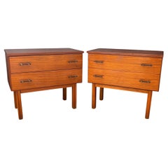 Pair of Scandinavian Mid-Century Modern Nightstands with Two Drawers, 1960s
