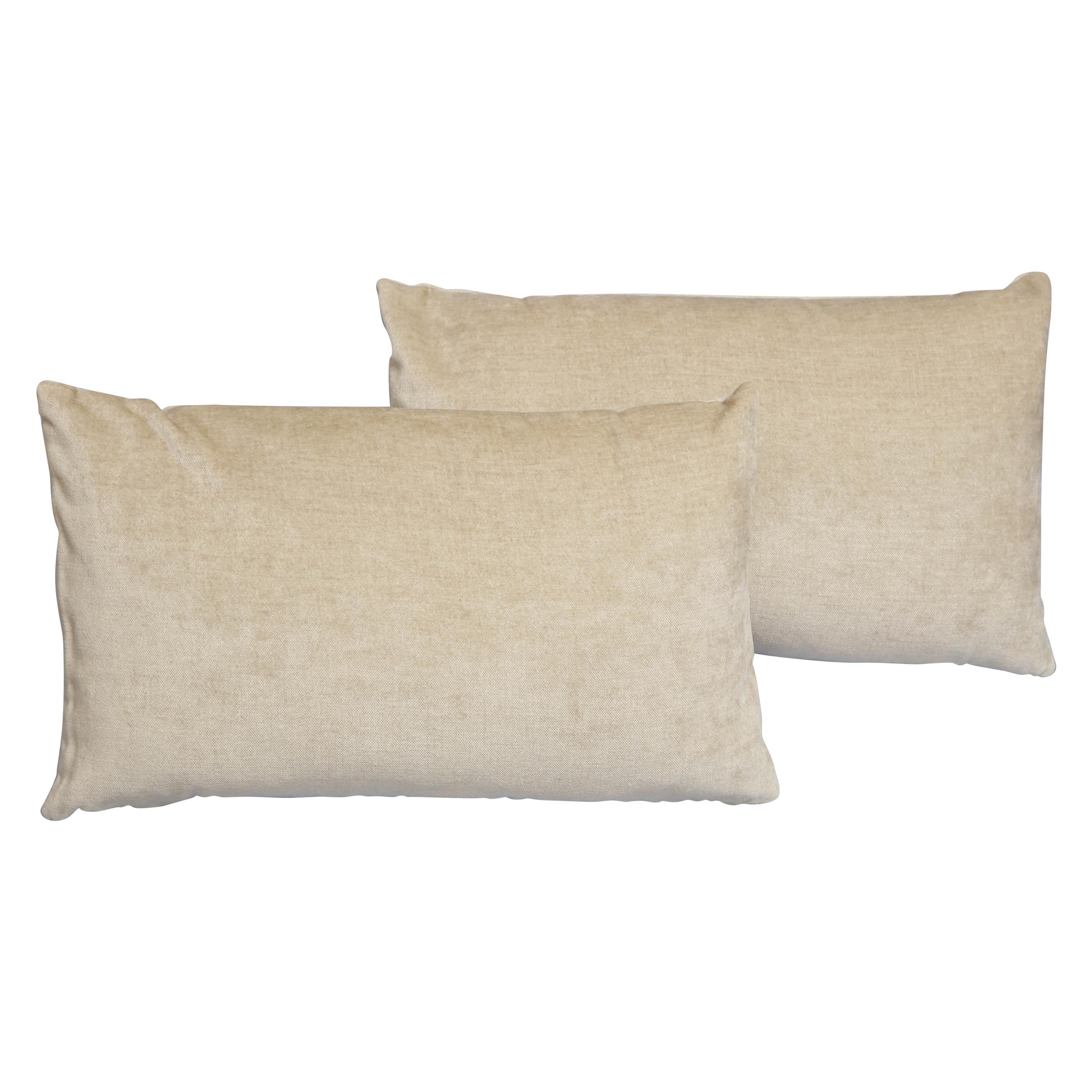 Pair of Scandinavian Modern Style Rectangular Beige Velvet Pillows For Sale