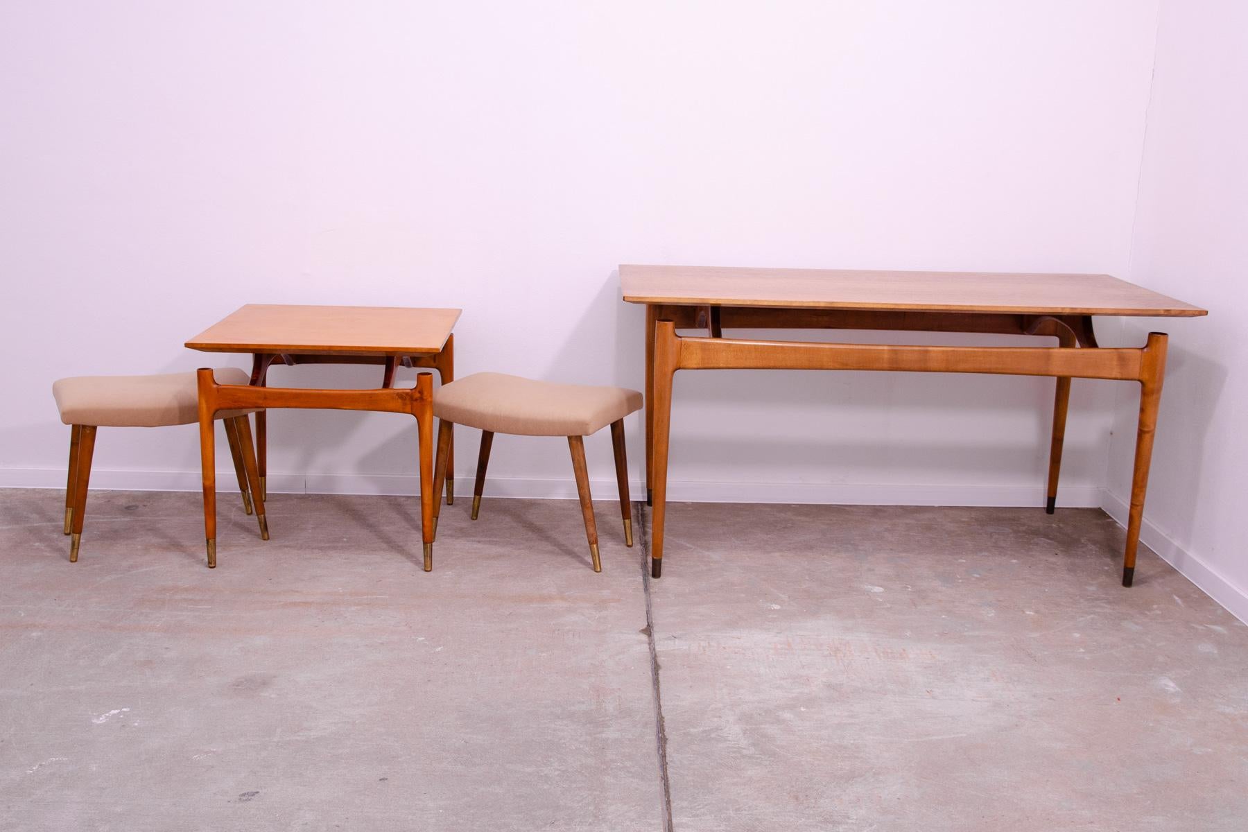 Pair of Scandinavian style stools by Vyčítal and Sedláček, Czechoslovakia, 1960´ For Sale 10