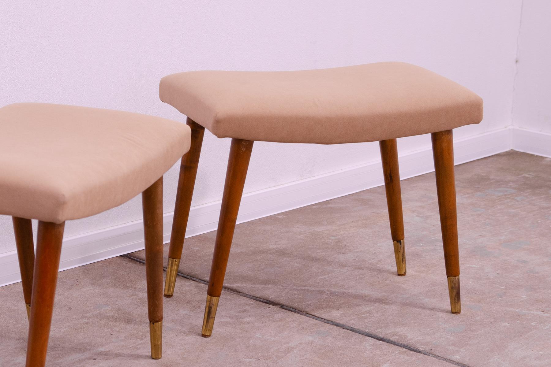 Pair of Scandinavian style stools by Vyčítal and Sedláček, Czechoslovakia, 1960´ For Sale 1