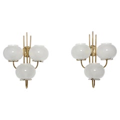 Pair of sconces by Tito Agnoli for Oluce