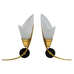 Pair of Sconces Glass Black 
Golden Chrome, circa 1960, Arlus France