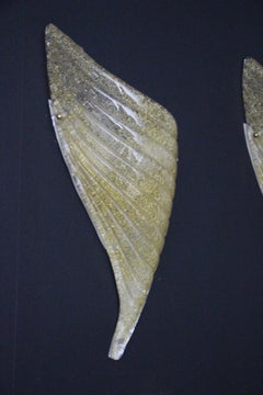 Paar Wandleuchter aus goldenem Muranoglas in Form von Flügeln