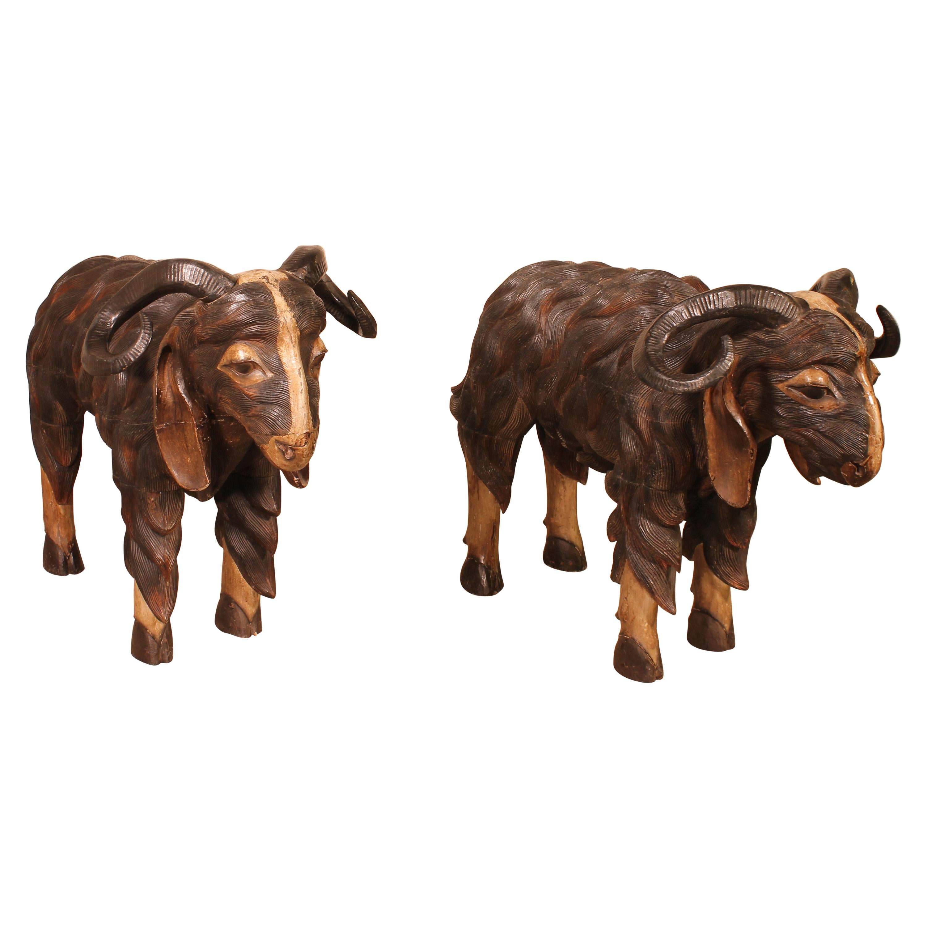 Pair of Scottish Ram in Polychrome Wood, 19 Century For Sale