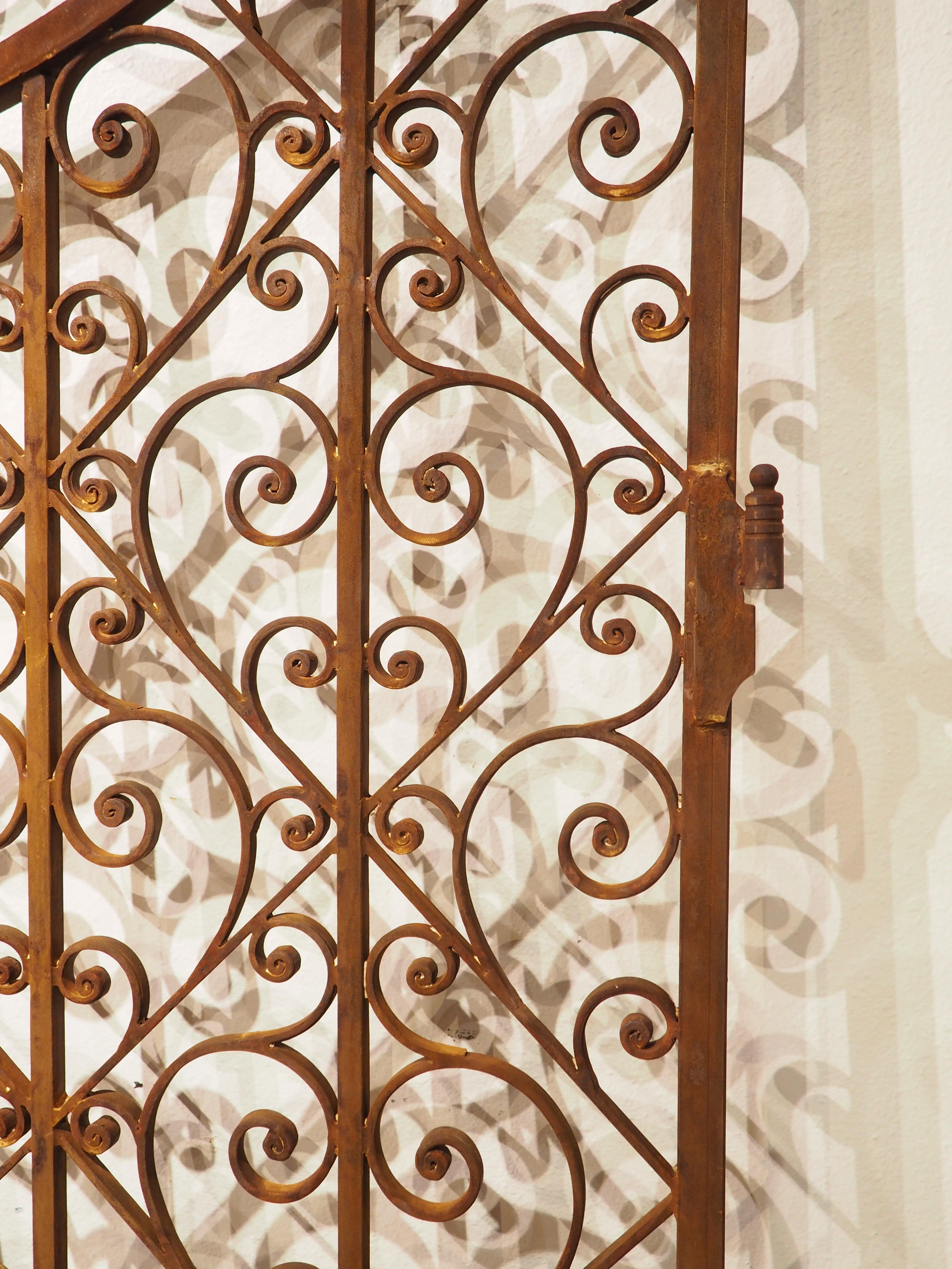 Pair of Scrolled Wrought Iron Gates from France, 20th Century 9