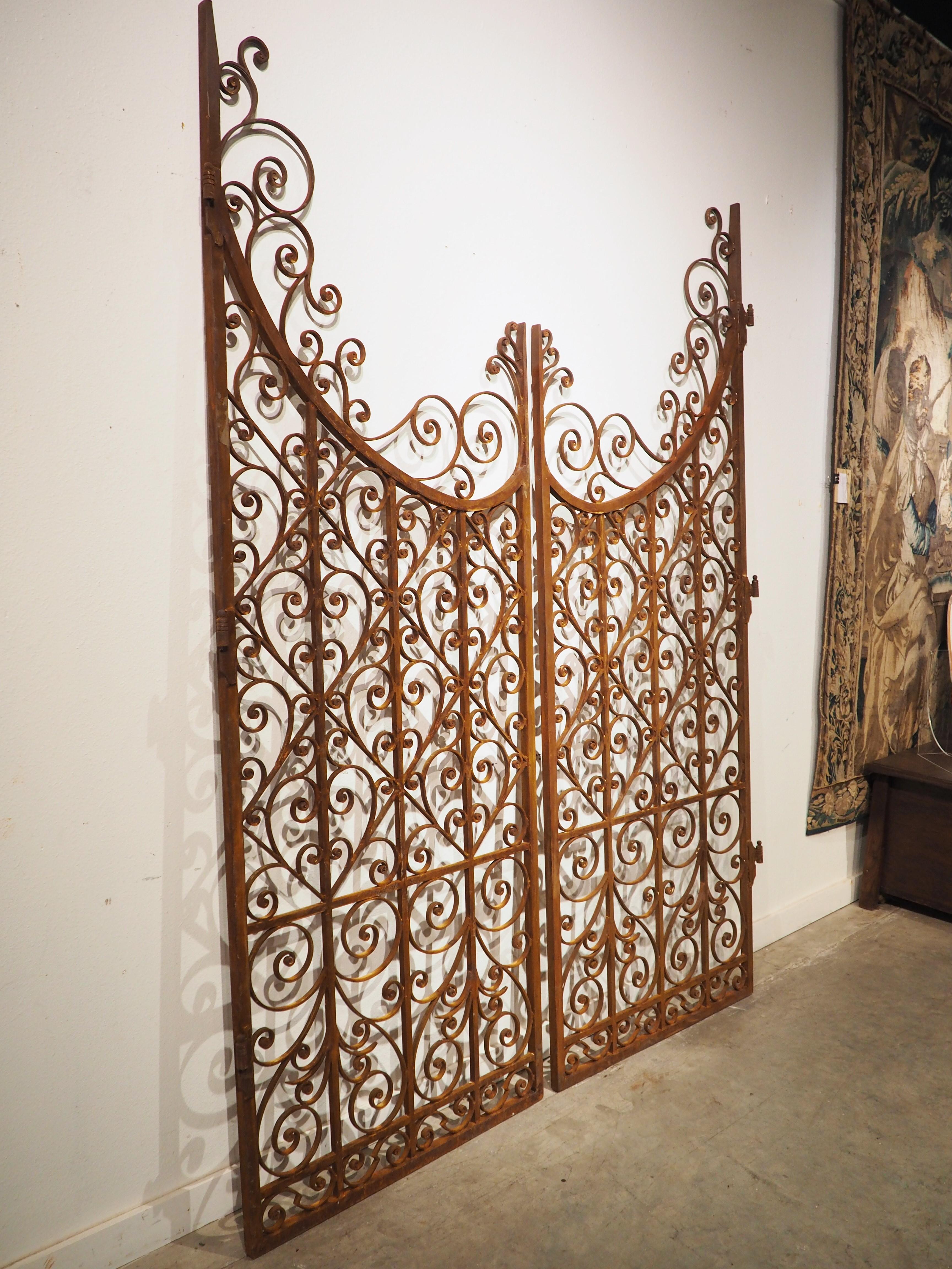 Pair of Scrolled Wrought Iron Gates from France, 20th Century 10