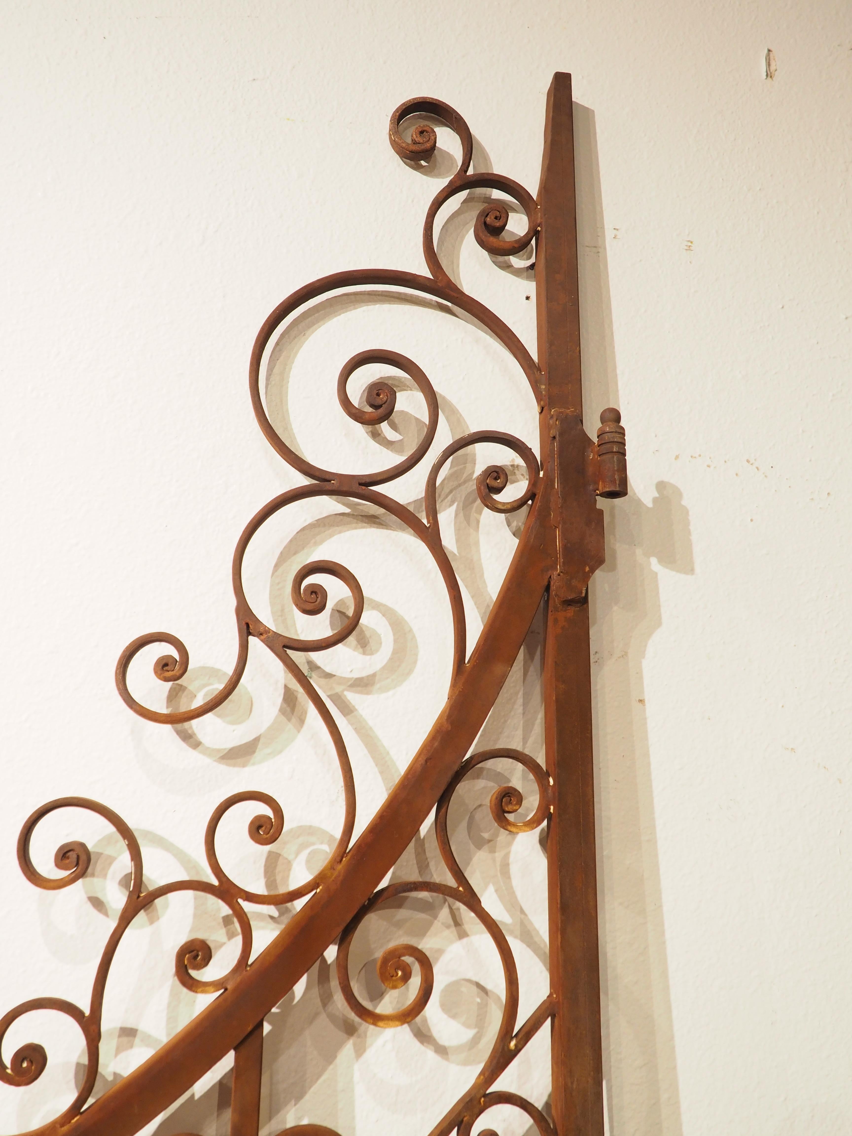 French Pair of Scrolled Wrought Iron Gates from France, 20th Century