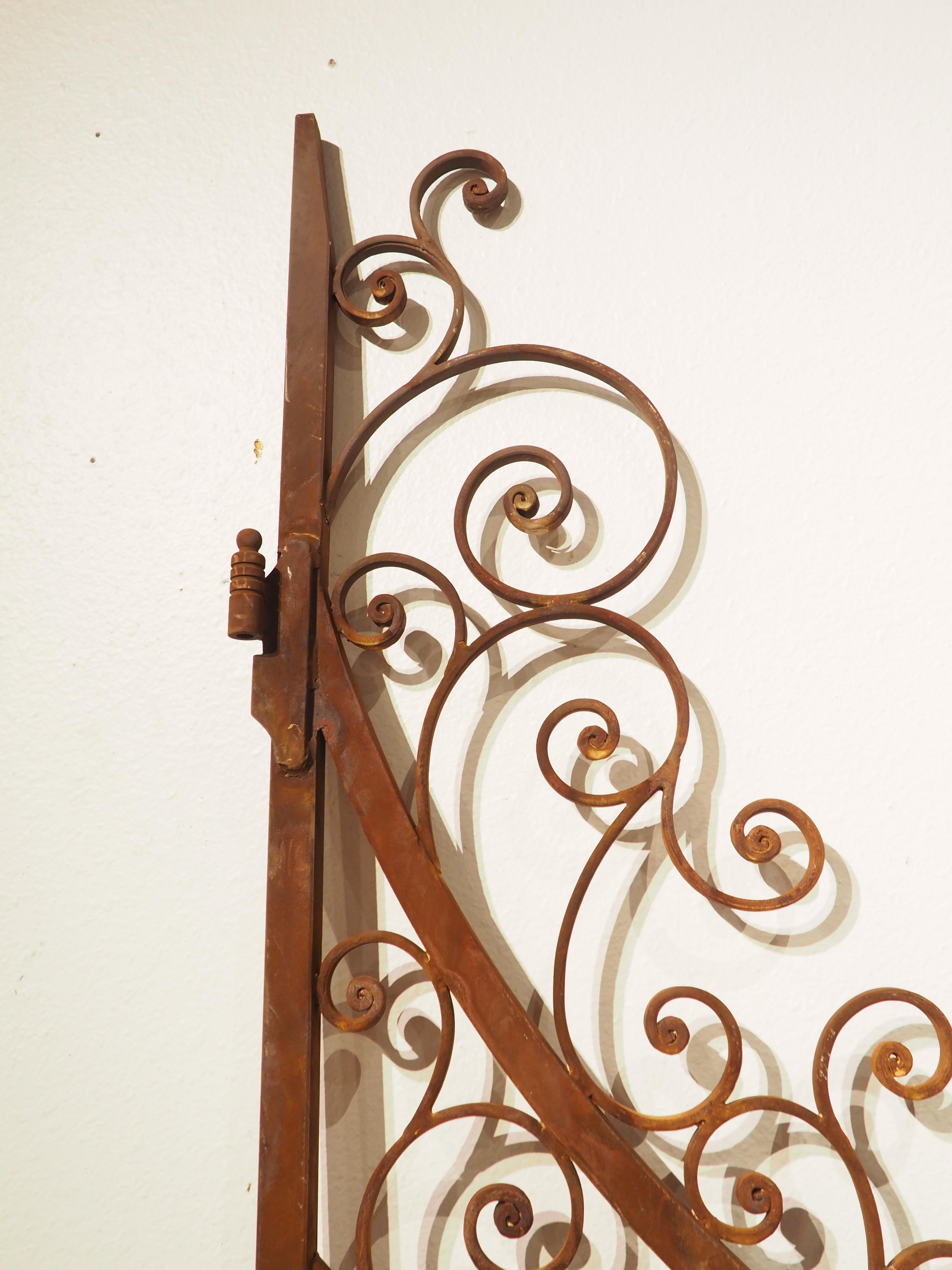 Pair of Scrolled Wrought Iron Gates from France, 20th Century In Good Condition In Dallas, TX