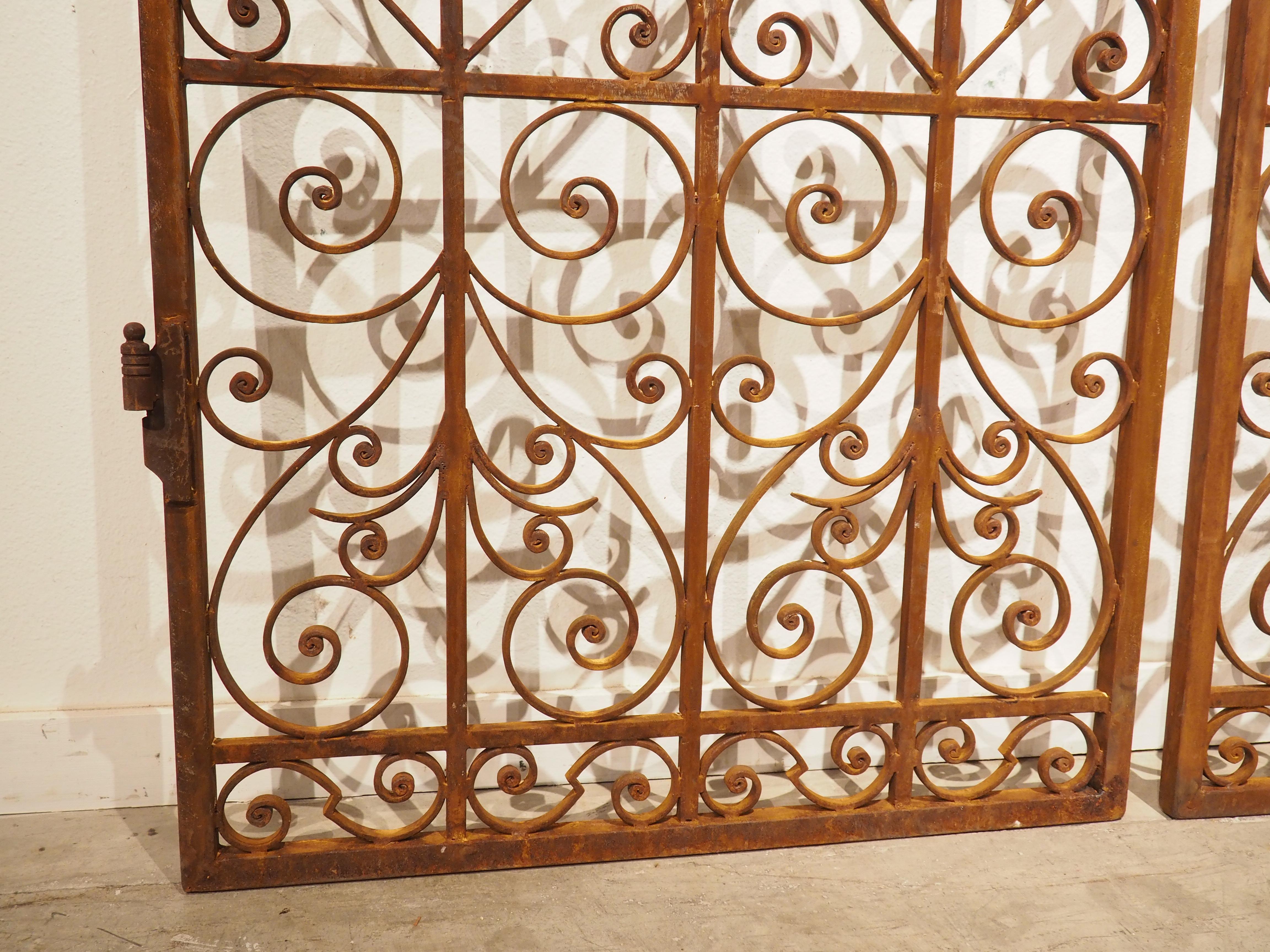 Pair of Scrolled Wrought Iron Gates from France, 20th Century 2