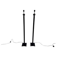 Coppia di lampade da terra scultoree di Aimé Cécil per Les Héritiers