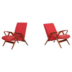 Sedie da salotto Wood
