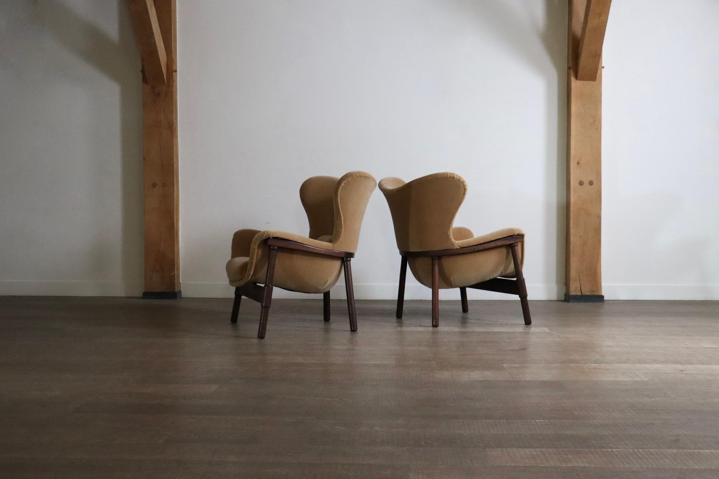 Paar skulpturale Loungesessel aus Mohair und Rosenholz, Italien 1950er Jahre im Angebot 5