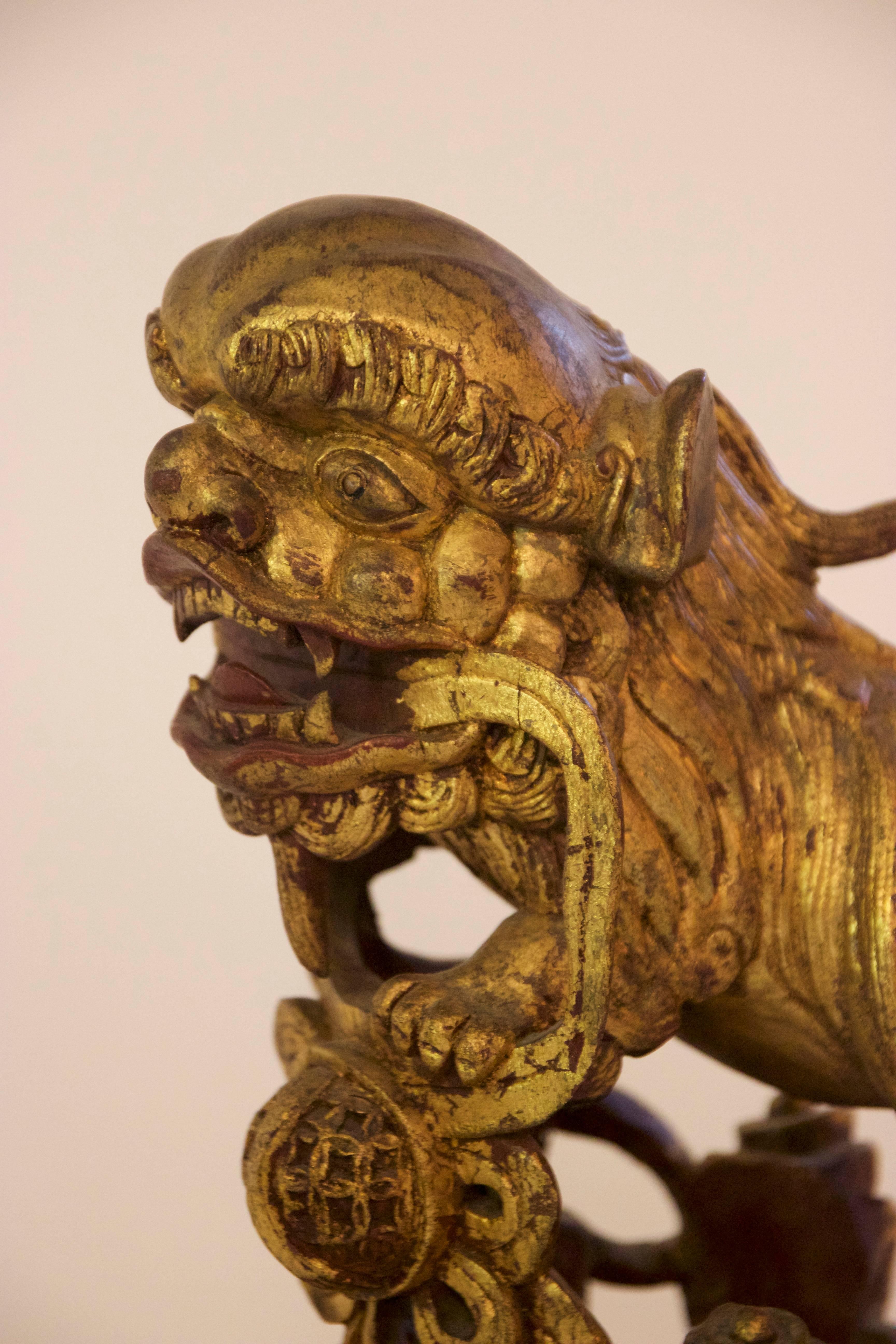 Pair of Sculptures, Dogs of Fô, Carved Wood with Gold Leaf, circa 1880, China 14