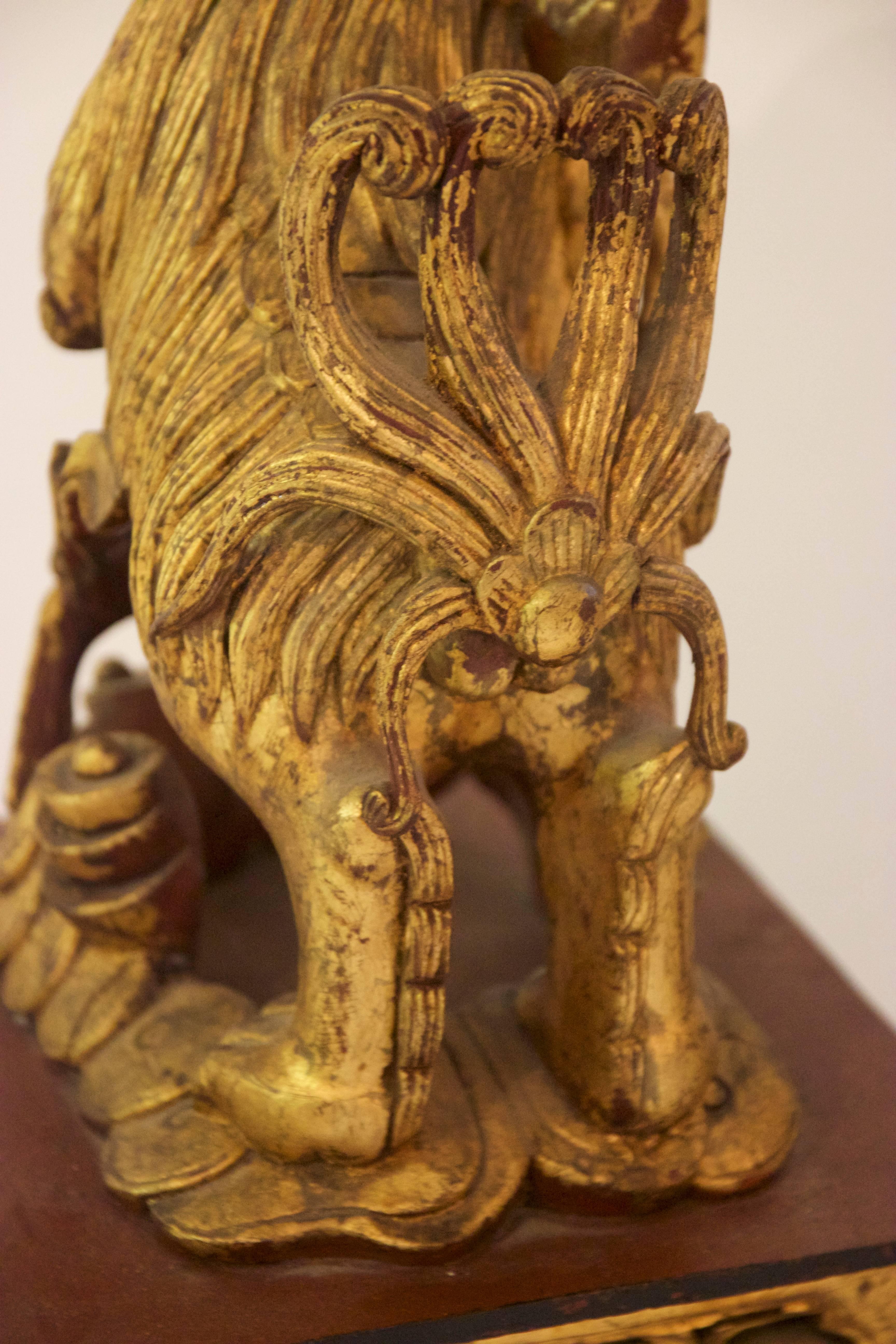 Pair of Sculptures, Dogs of Fô, Carved Wood with Gold Leaf, circa 1880, China 3