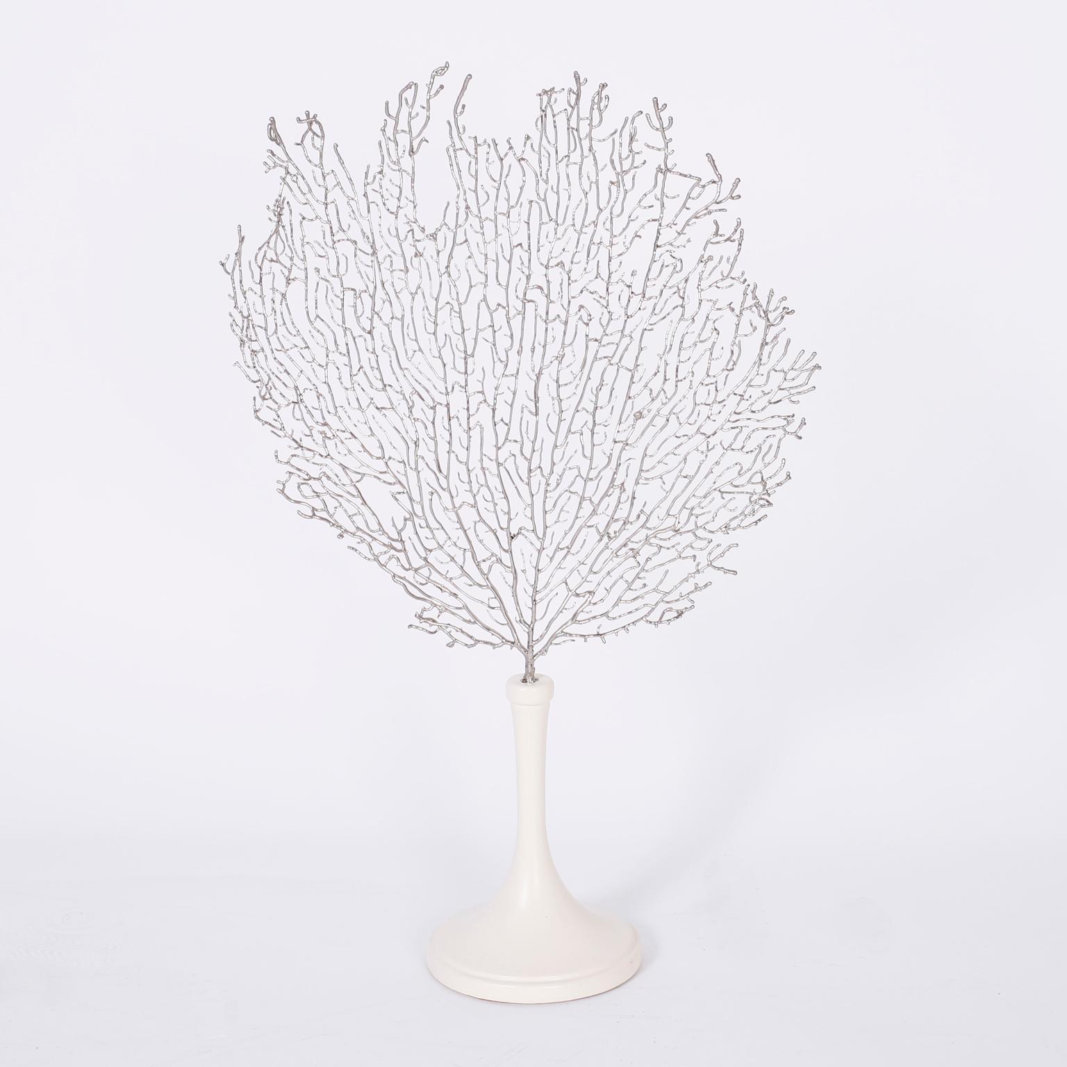 Pair of sea fan sculptures crafted or dipped in silvered metal with amazing accuracy and presented on classic form lacquered stands. Signed Eduardo Garza 2008 on the bottoms.

Pair of sea fan sculptures crafted or dipped in silvered metal with