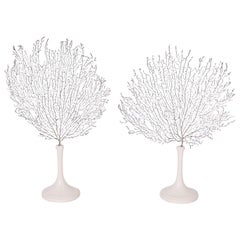 Pair of Sea Fan Sculptures