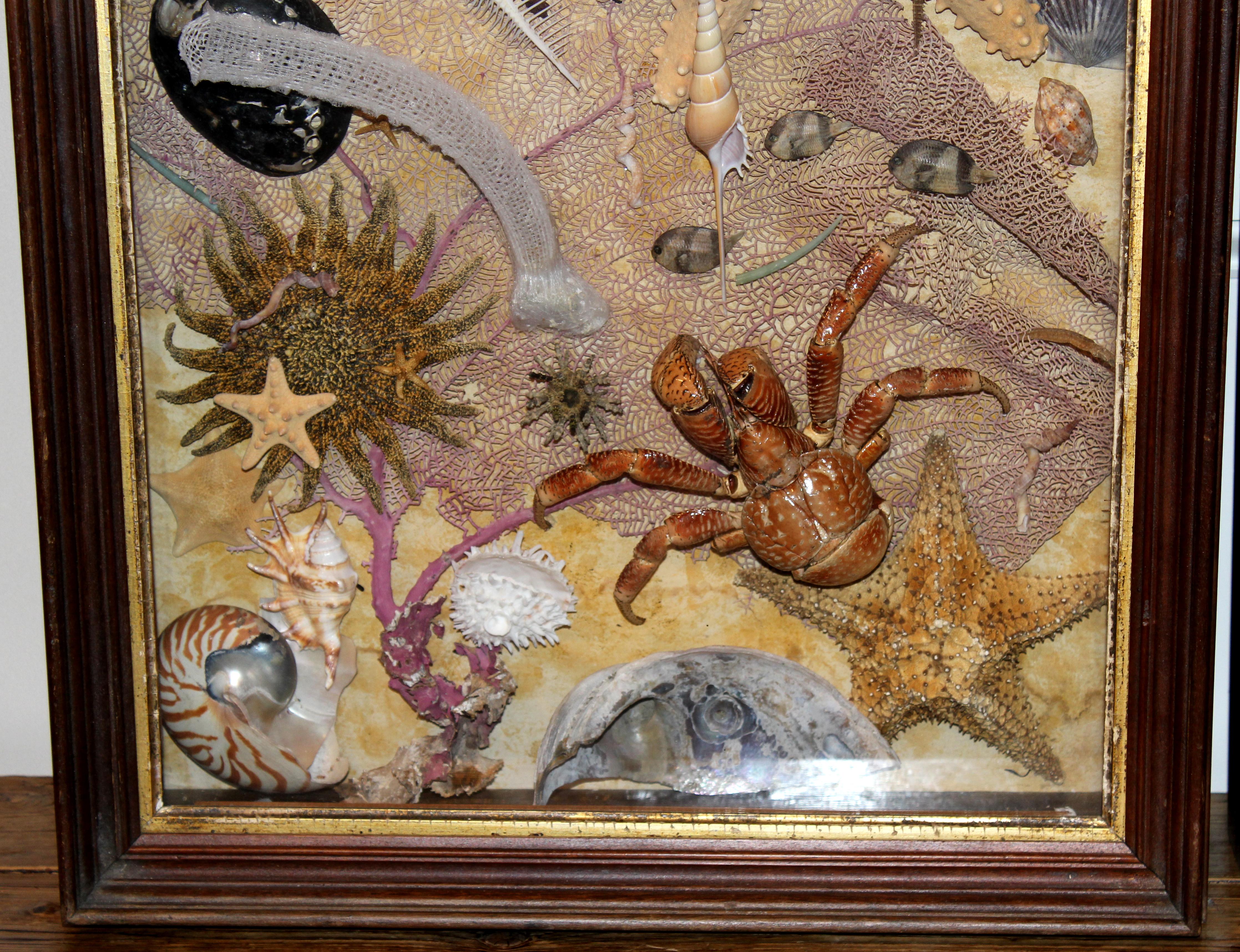 dioramas for sale