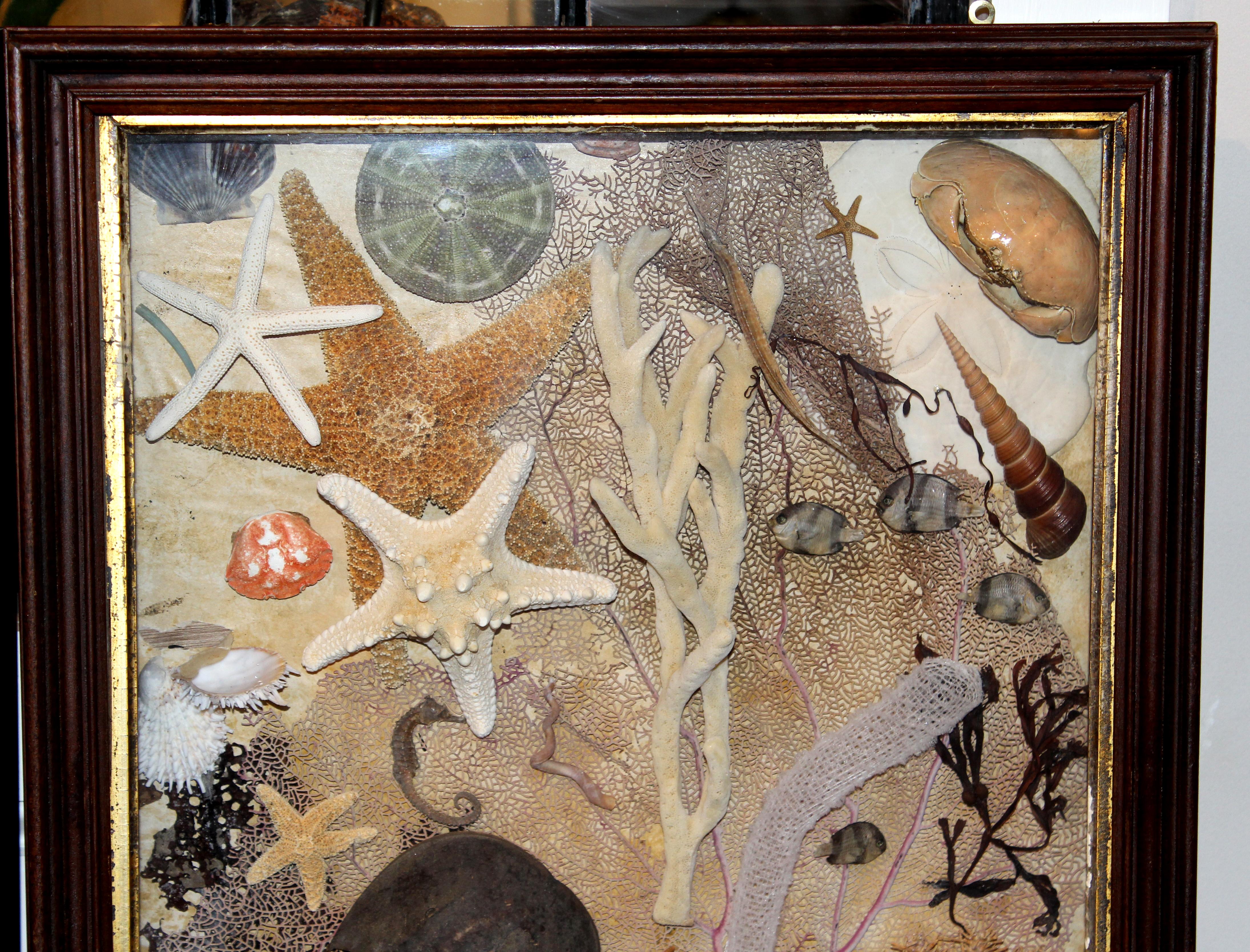 sea dioramas