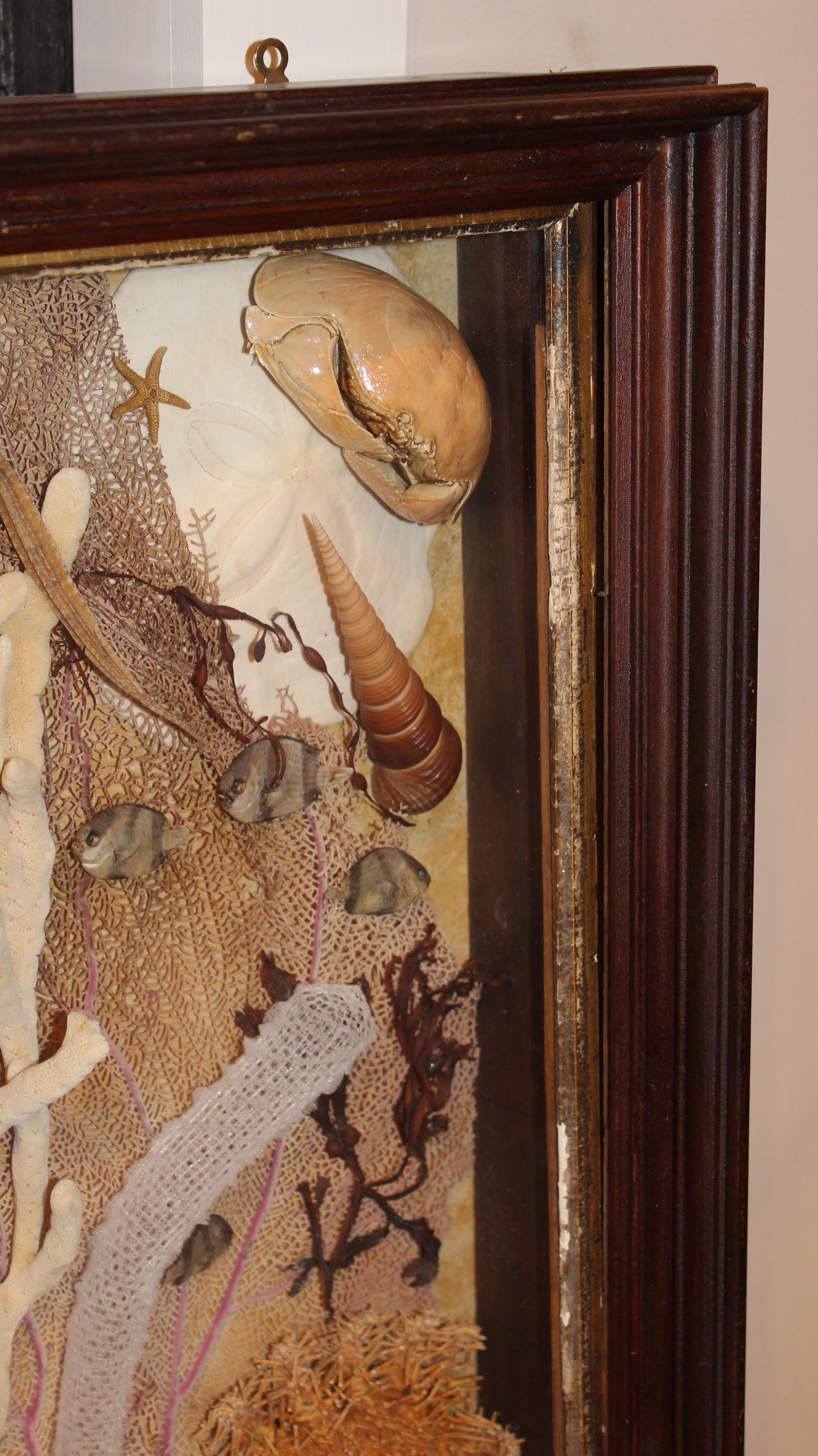 Glazed Pair of Sea Life and Shell Dioramas or Shadow Boxes