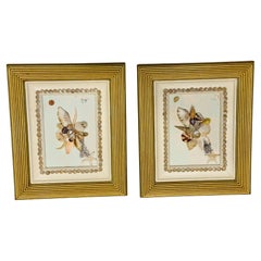 Pair of Sea Shell Artworks Signed and Framed