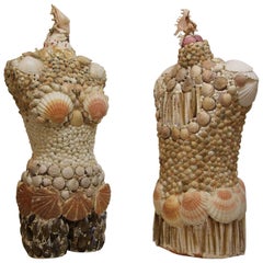 Pair of Sea Shell Decorated Female and Male Busts