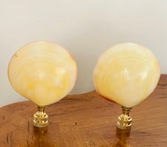 Pair of Sea Shell Lamp Finials