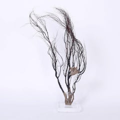 Pair of Sea Whip Specimen Sculptures, Priced Individually