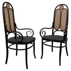 Pareja de sillones de la Secesión nº 17 de Thonet