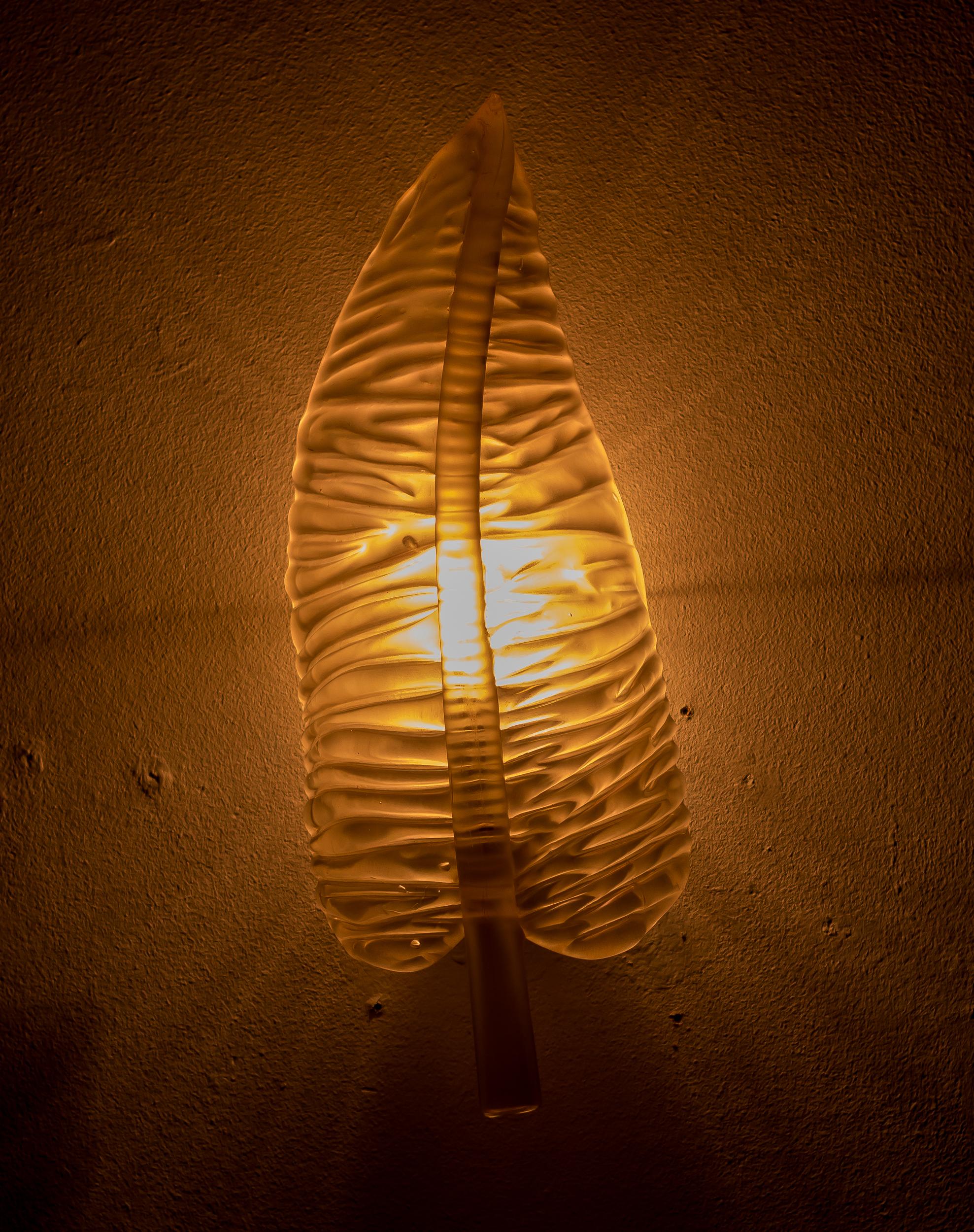 Pair of Seguso Feather Sconces 2