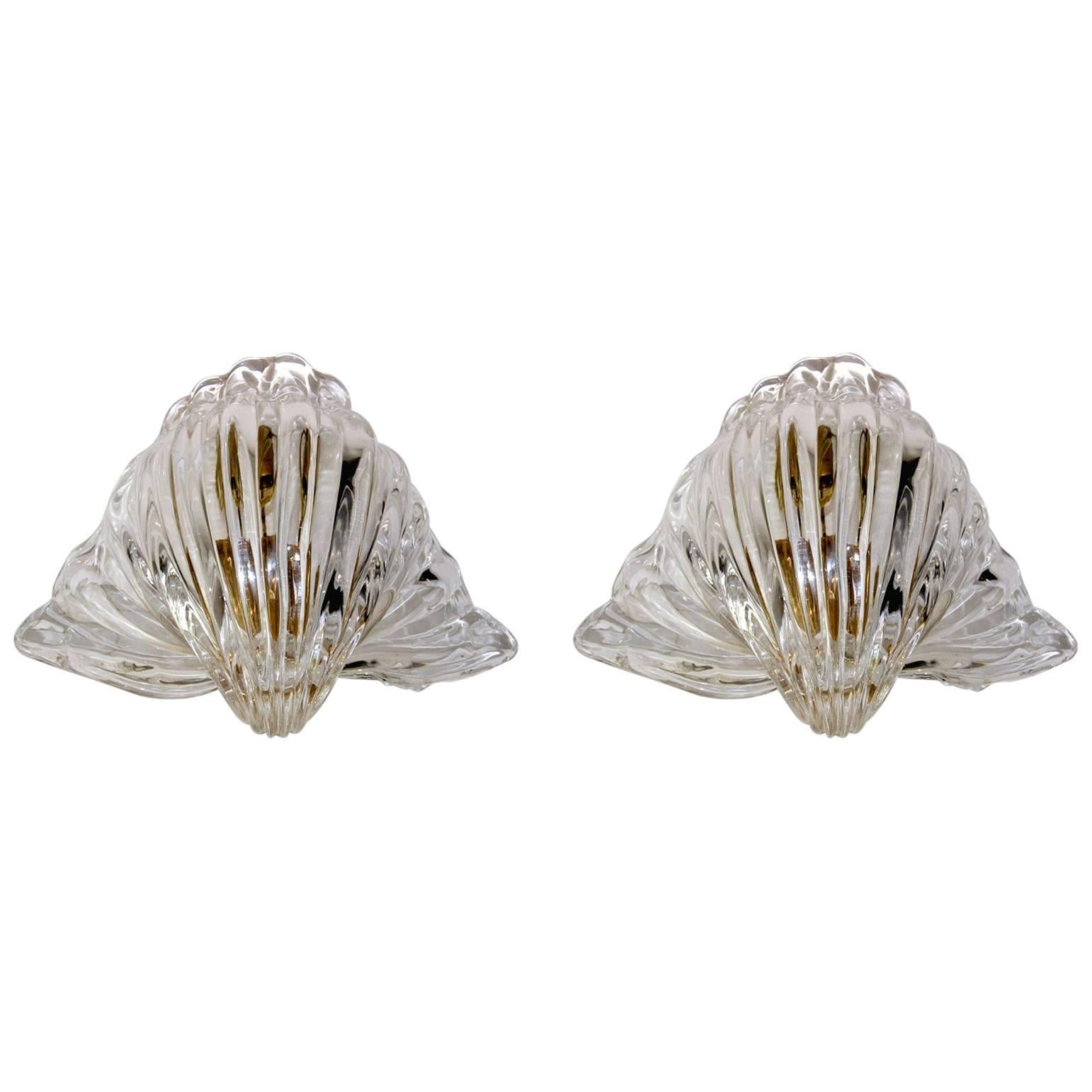 Pair of Seguso Murano Glass "Conchiglia" Shell Wall Sconces