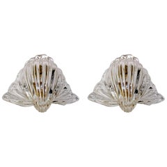 Pair of Seguso Murano Glass "Conchiglia" Shell Wall Sconces