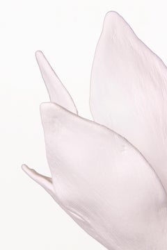 Pair of Serge Castella "Spring" Sconces, circa 2023, France