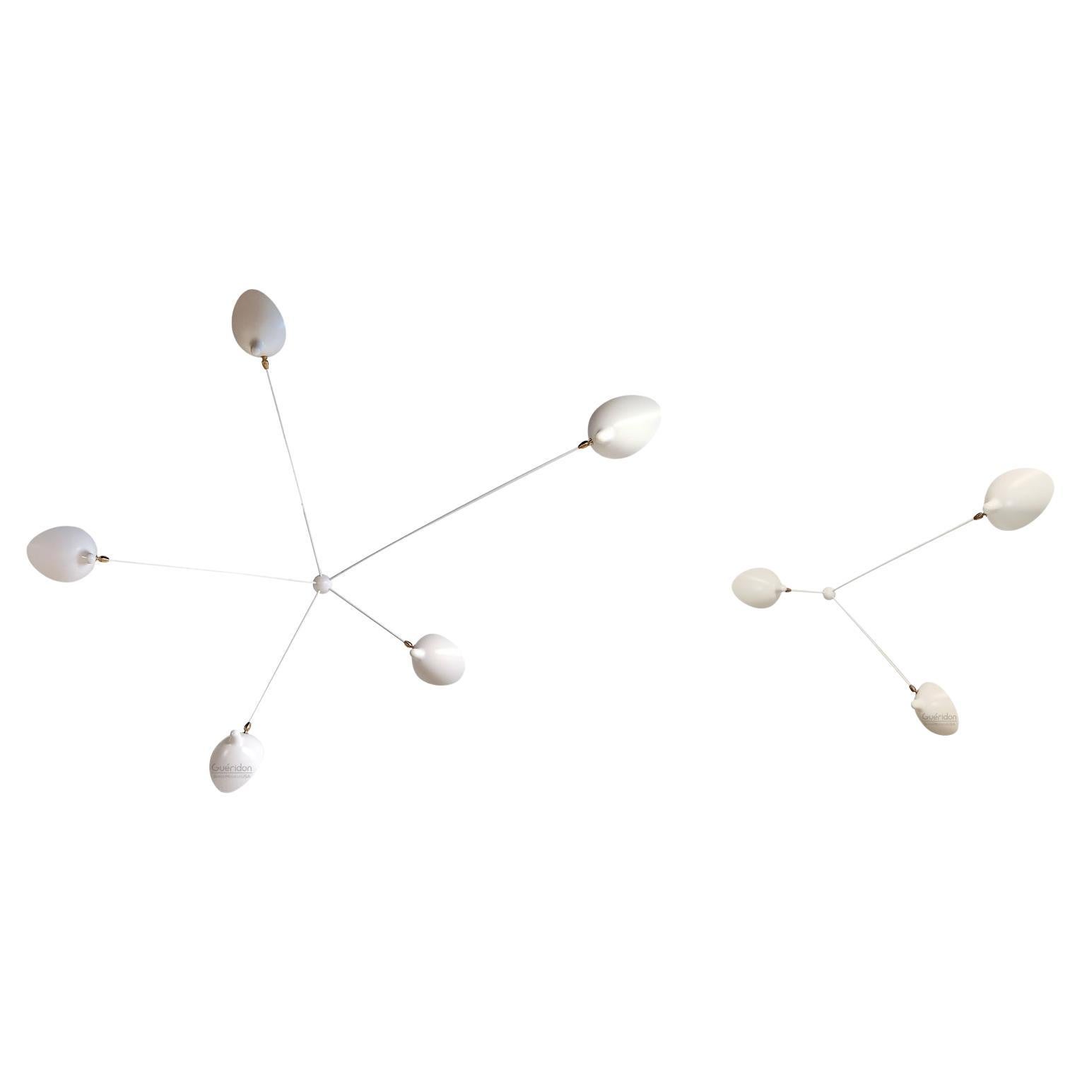 Serge Mouille - 1  5 bras et 1  Appliques araignées à 3 bras en blanc - EN STOCK !