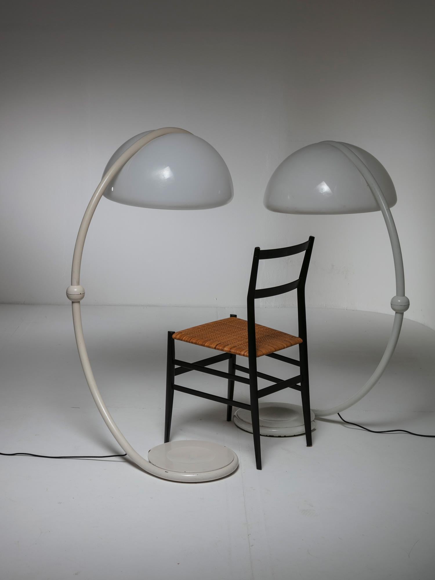 martinelli luce serpente