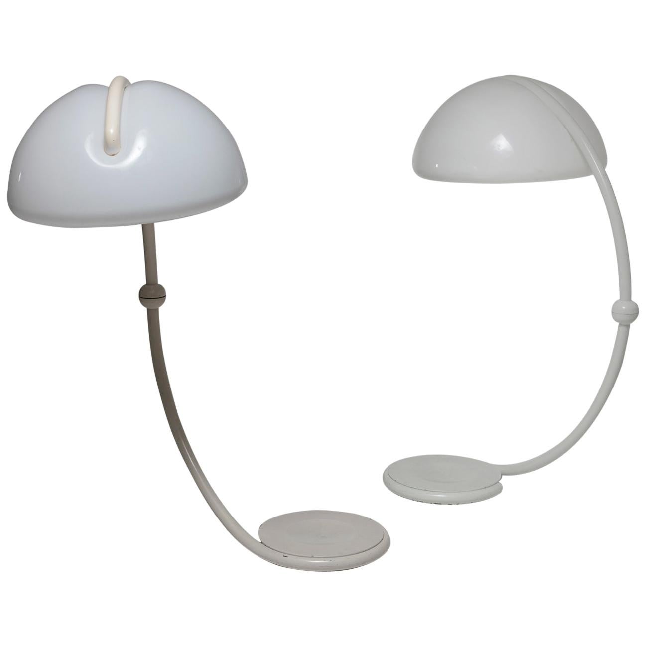 Pair of "Serpente" Floor Lamps by Elio Martinelli for Martinelli Luce