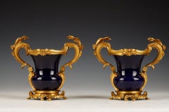 Pair of Sèvres Manufacture Vases, France, 1868