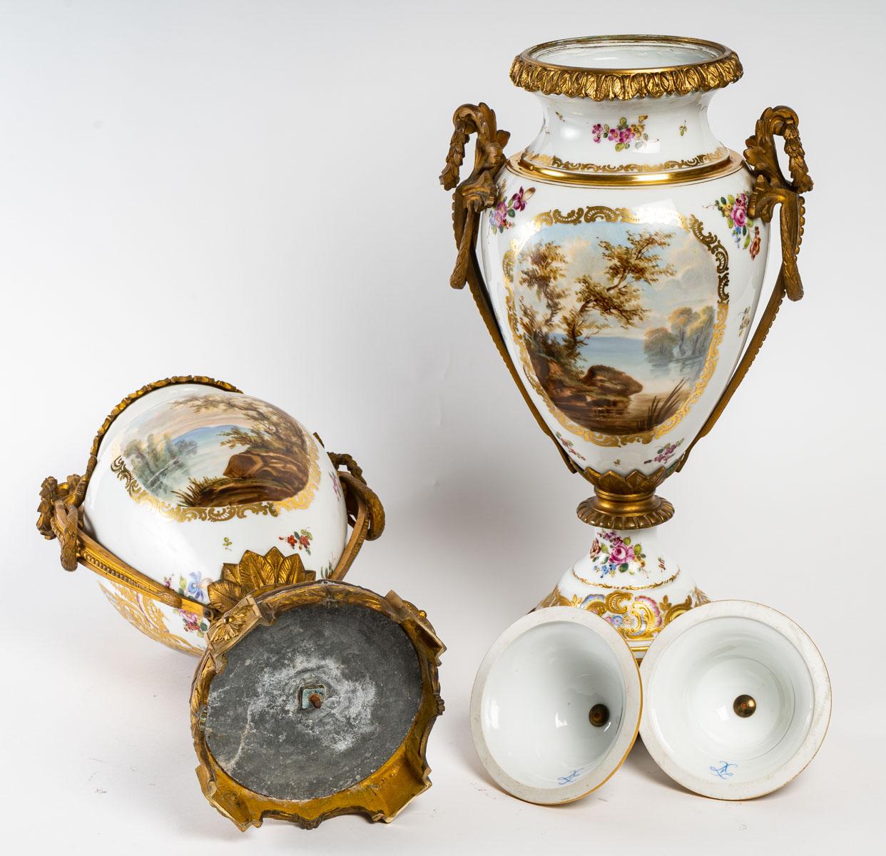 Pair of Sèvres porcelain covered vases, 19th century 3