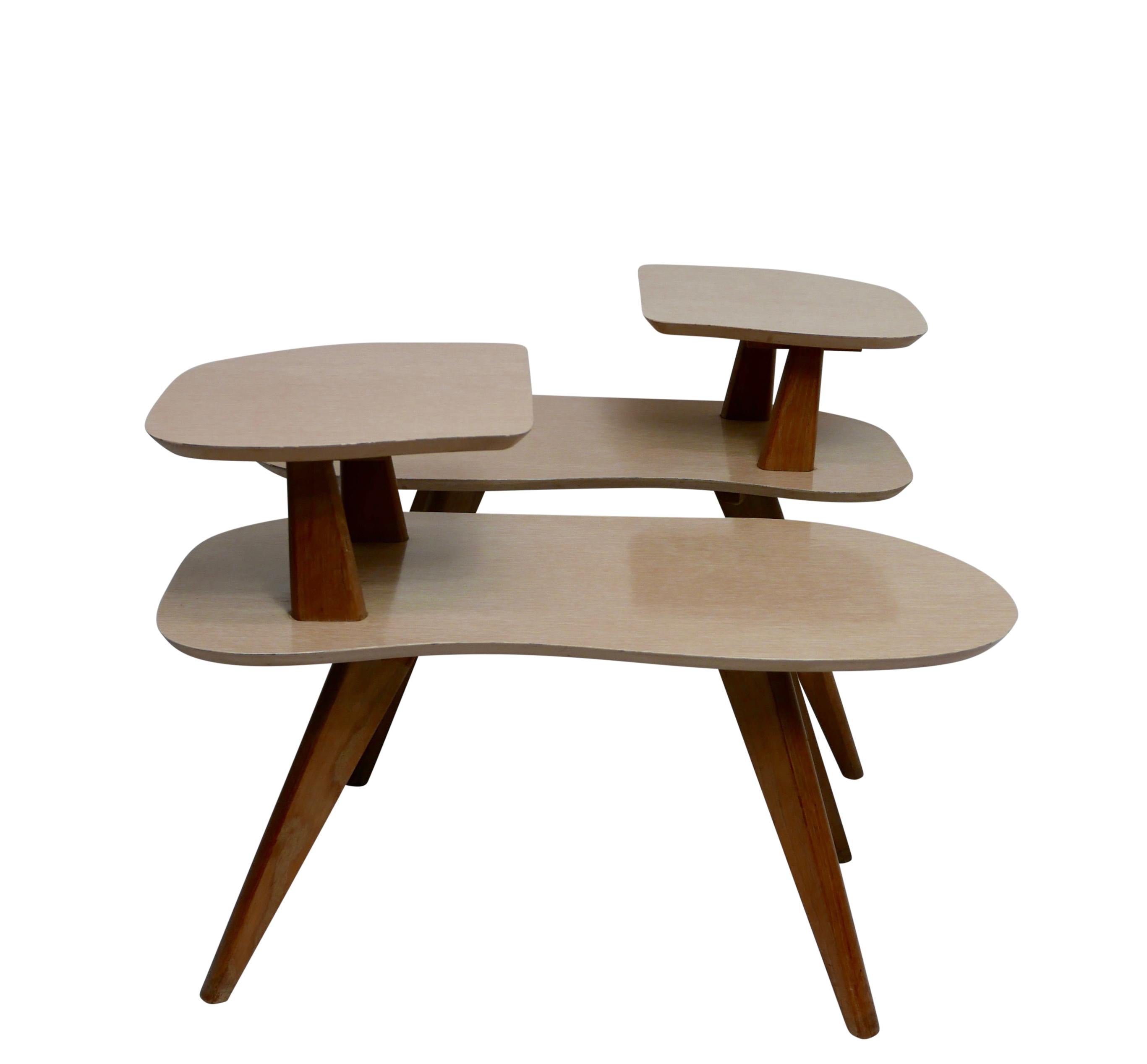 American Pair of Shapely Mid-Century Modern Side Tables