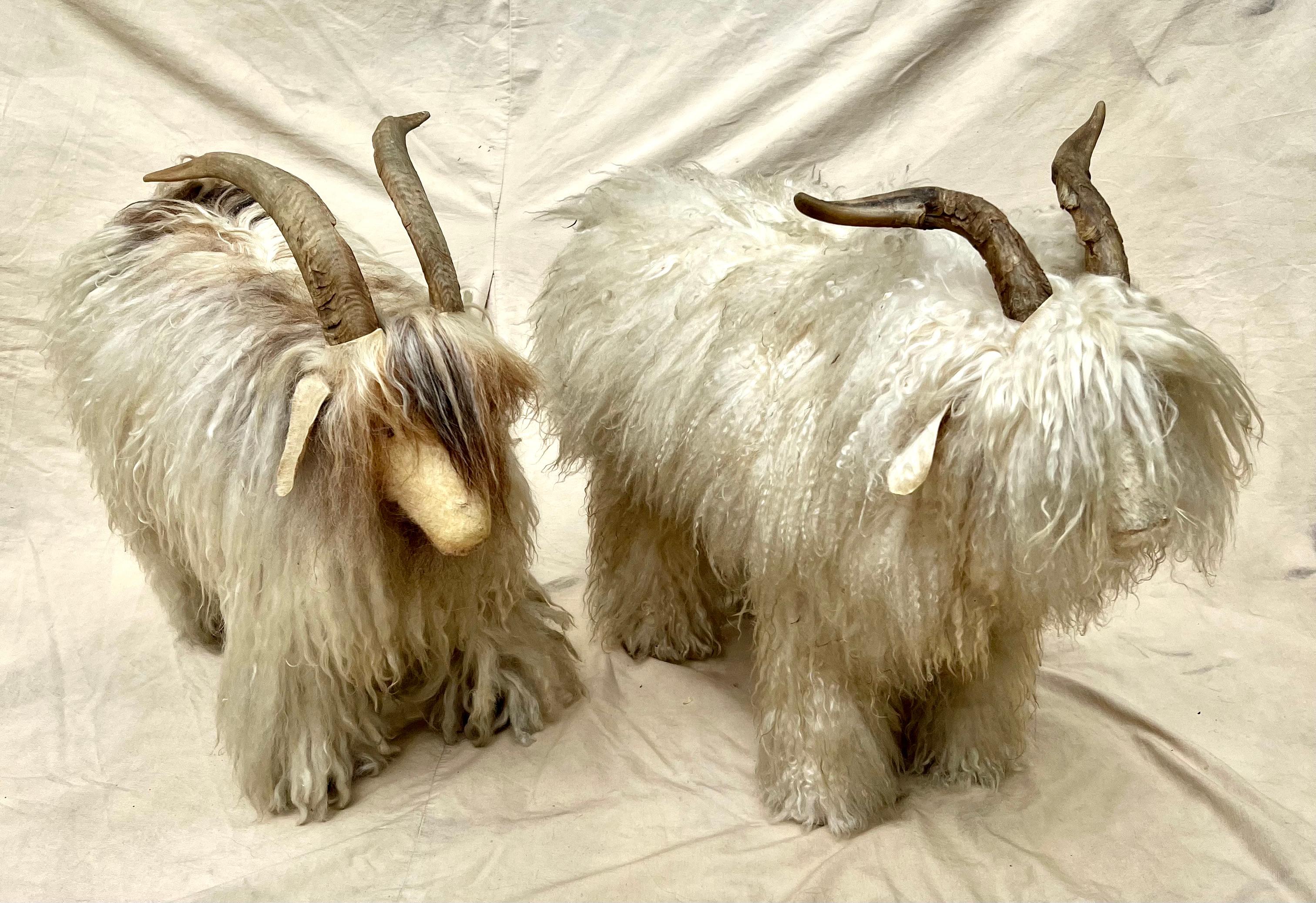 Paar Schafshocker mit Pelz und Horn - im Angebot 4