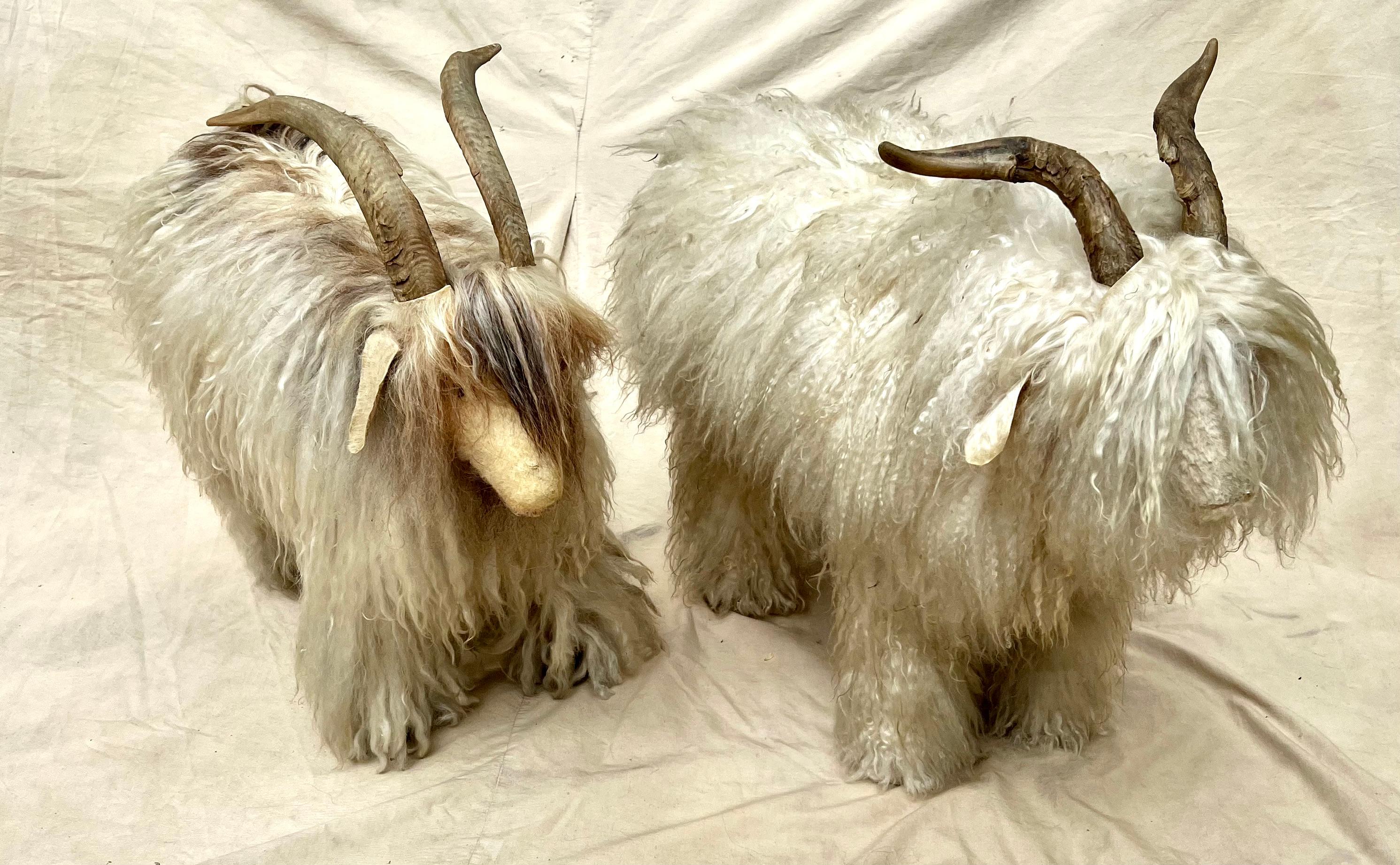 Paar Schafshocker mit Pelz und Horn - im Angebot 5