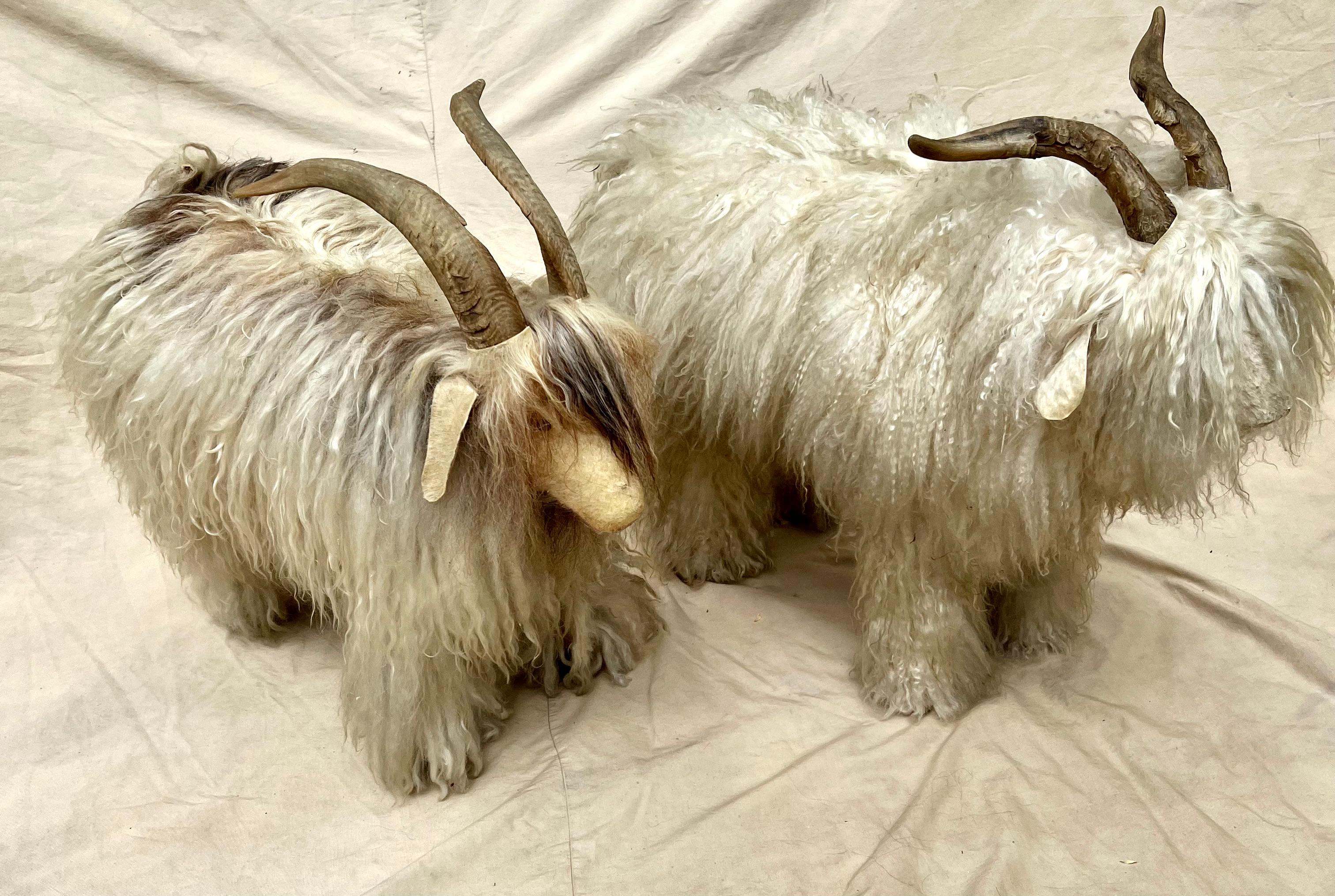 Pair of French Sheep Ram Stools with Authentic Fur and Horn  For Sale 8