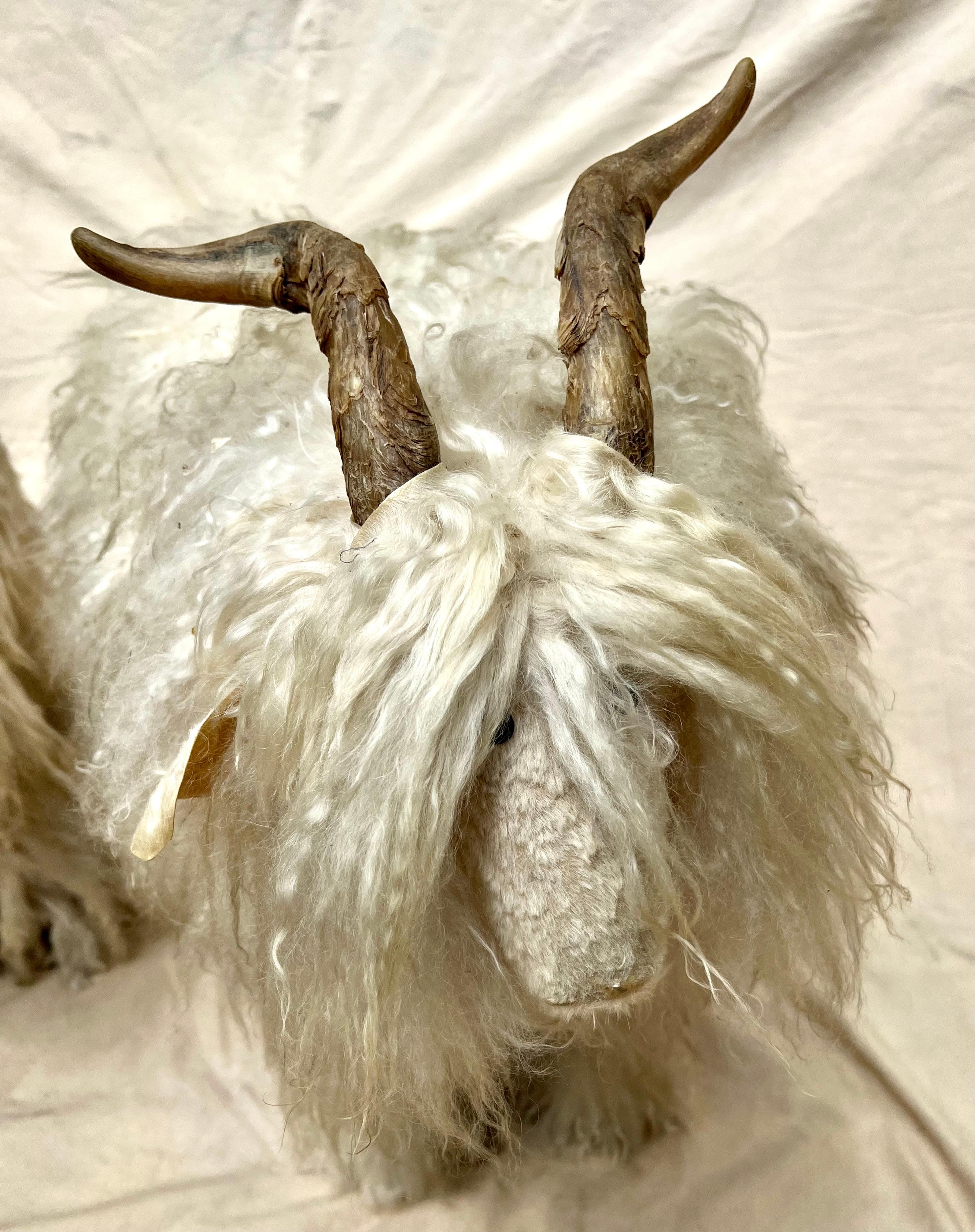 Paar Schafshocker mit Pelz und Horn - im Angebot 8