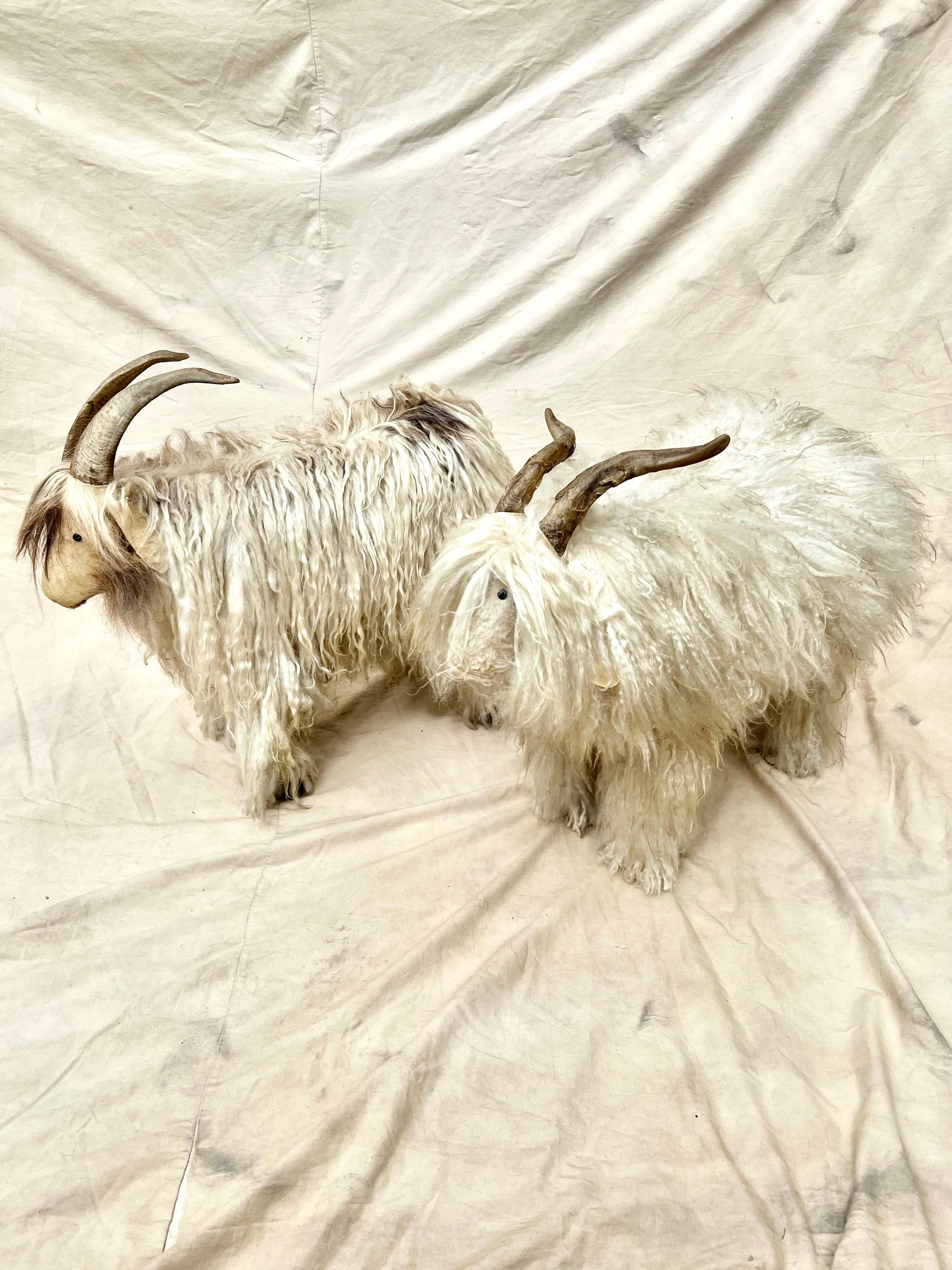 Ein Paar schöne Schafshocker .  

Die beiden sind wunderbar dekorativ, dienen aber auch als Hocker oder als Anziehhilfe im Zimmer, wenn zusätzliche Gäste kommen.

Sie bestehen aus einem Holzrahmen mit Yak-Fell an der Außenseite und einem Gesicht aus