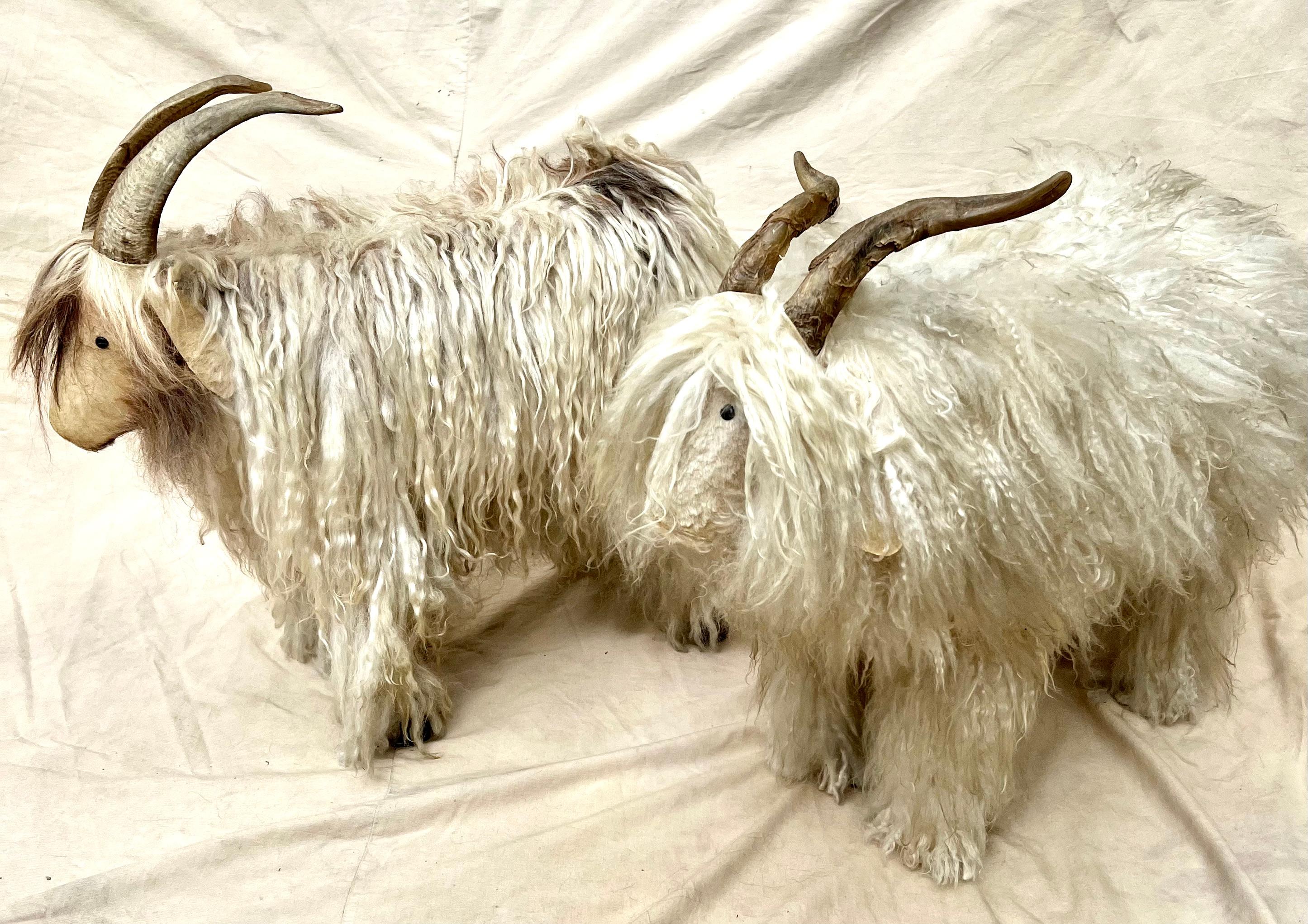 Patinated Pair of French Sheep Ram Stools with Authentic Fur and Horn  For Sale