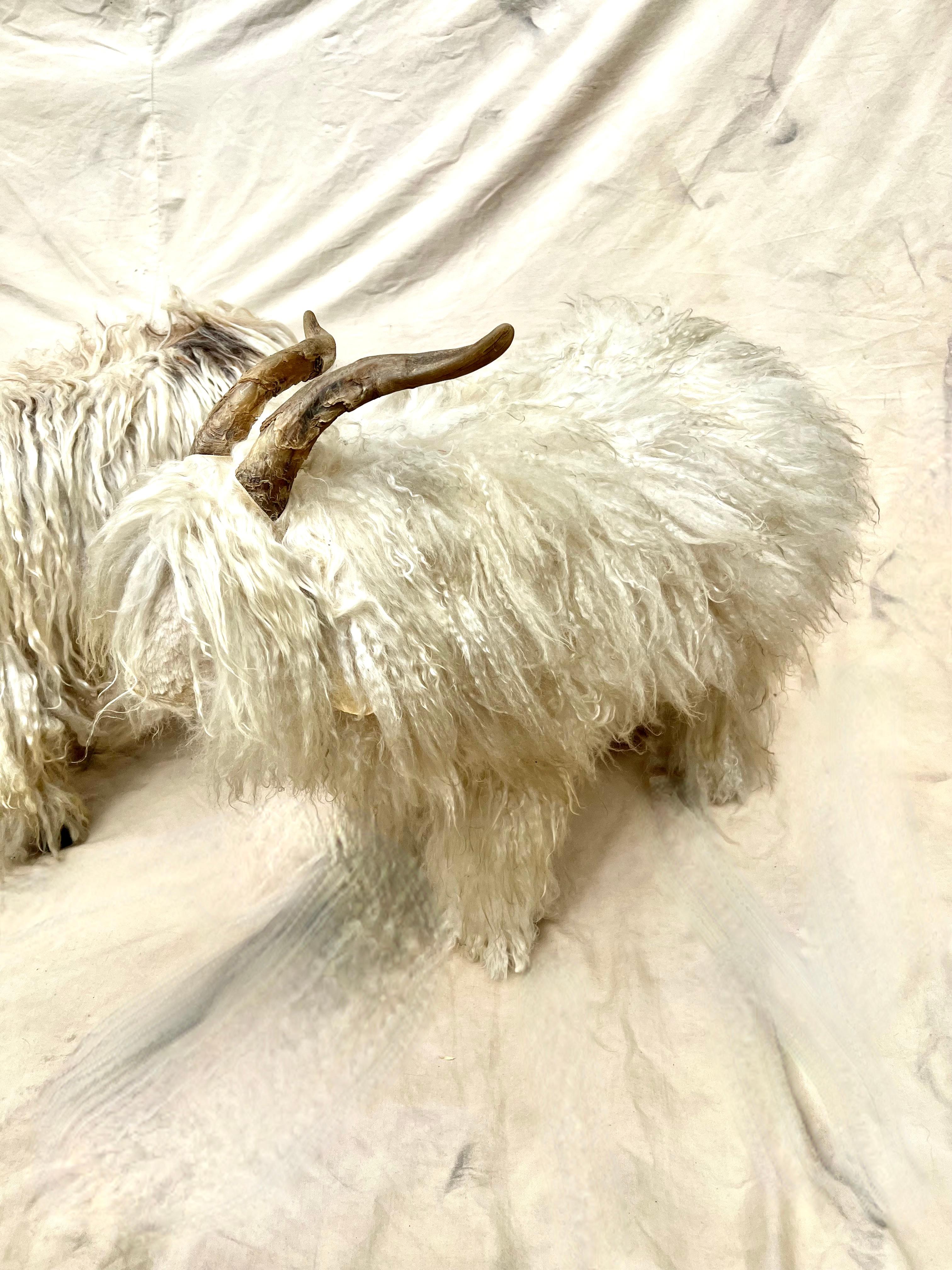 Patiné Paire de tabourets en mouton avec fourrure et Horn - en vente