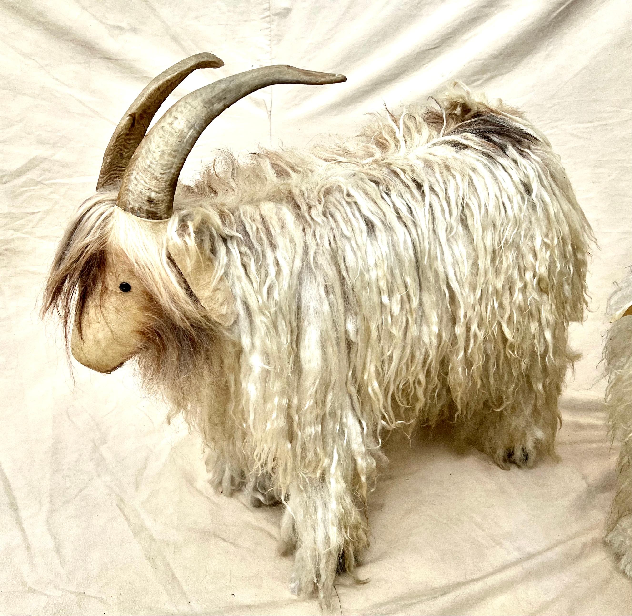 20th Century Pair of French Sheep Ram Stools with Authentic Fur and Horn  For Sale